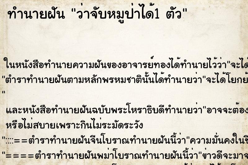 ทำนายฝัน ว่าจับหมูป่าได้1 ตัว ทำนายฝัน ว่าจับหมูป่าได้1 ตัว